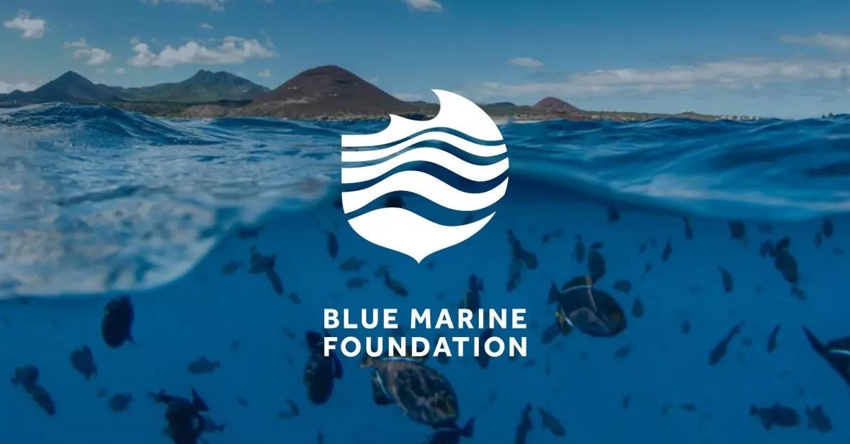 Blue-Marine-logo-banner