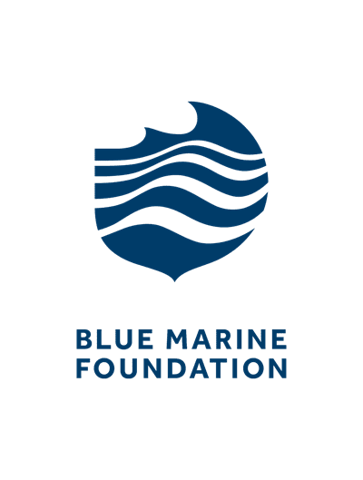 Blue-marine-logo-padded